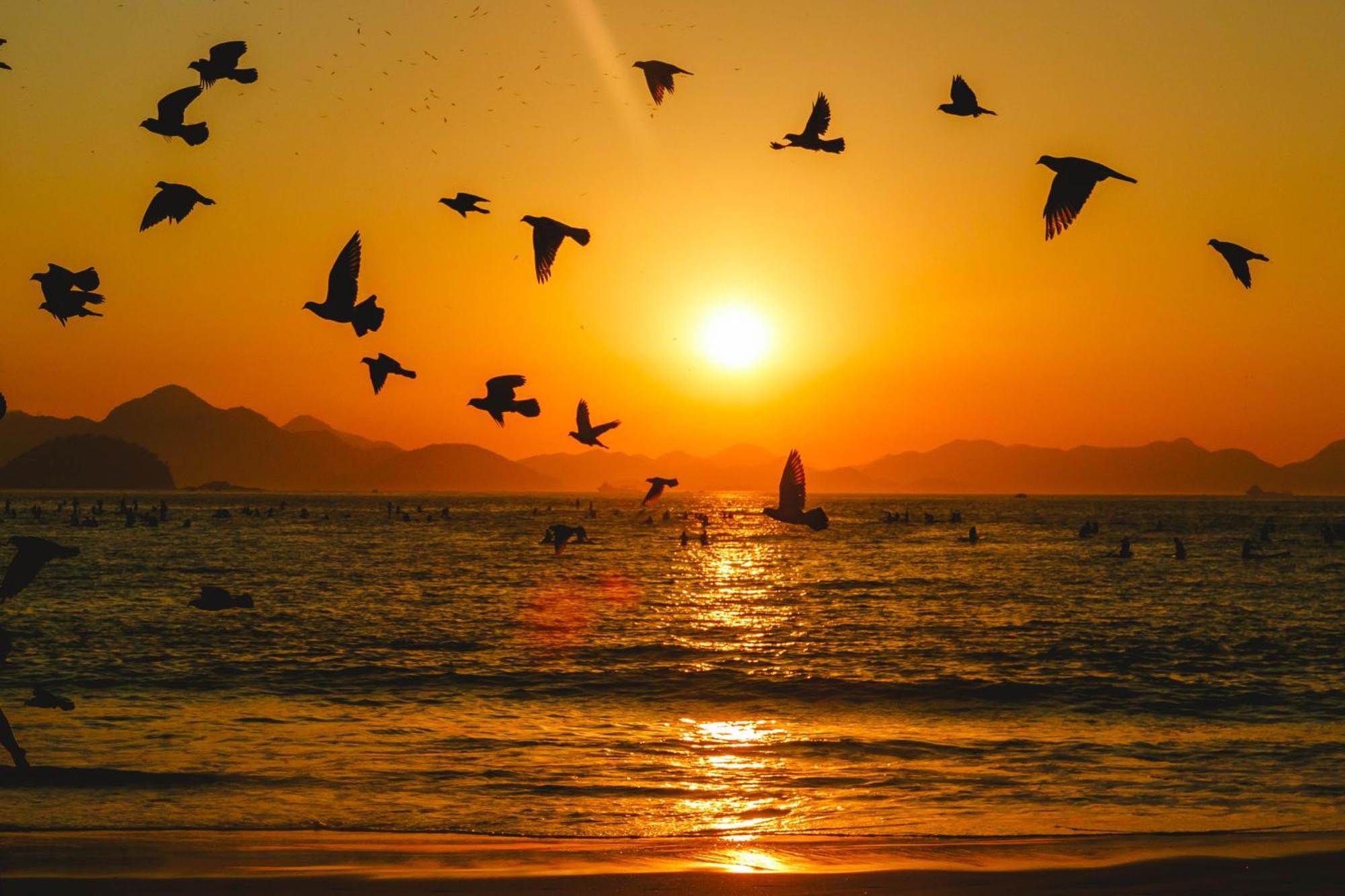 Palace Beach Hostel Rio de Janeiro Zewnętrze zdjęcie